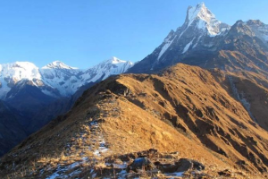 मर्दी हिमालमा गाइड बेपत्ता, खोजीकार्य सुरु